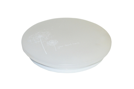 LED吸頂燈/水月影